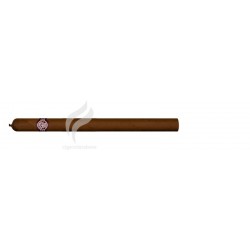 MONTECRISTO-ESPECIAL-142