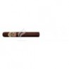 ASHTON-VSG ECLIPSE-2386