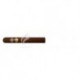 MONTECRISTO-GRAND EDMUNDO - 2010-314