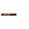 MONTECRISTO-GRAND EDMUNDO - 2010-314