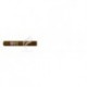 MONTECRISTO-JUNIOR-137