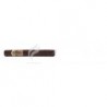ASHTON-VSG ROBUSTO-1927