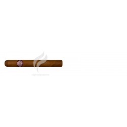 MONTECRISTO-PETIT TUBOS-169