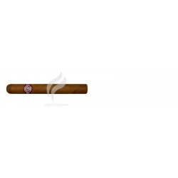 MONTECRISTO-PETIT TUBOS-169