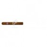 MONTECRISTO-PETIT TUBOS-169