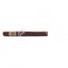 ASHTON-VSG SPELLBOUND-2000
