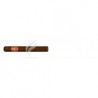 PARTAGAS-ARISTOCRATS-175