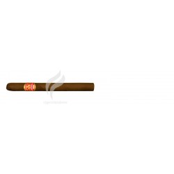 PARTAGAS-CHARLOTTES-670