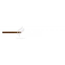 PARTAGAS-MINI BAN CB LATA - 2012-1631