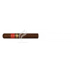 PARTAGAS-SERIE D ESPECIAL - 2010-315