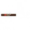 PARTAGAS-SERIE D ESPECIAL - 2010-315