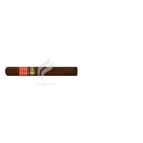 PARTAGAS-SERIE D NO.3 - 2001-878