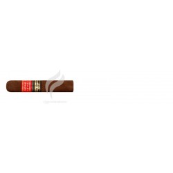 PARTAGAS-SERIE D NO.5 - 2008-899