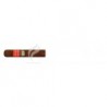 PARTAGAS-SERIE D NO.5 - 2008-899