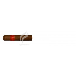 PARTAGAS-SERIE D NO.5-1691