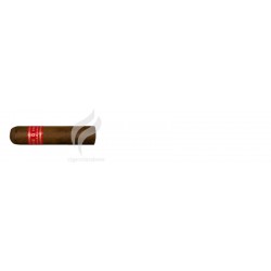 PARTAGAS-SERIE D NO.6-2438