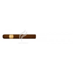 POR LARRANAGA-PETIT CORONAS-203