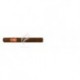 PUNCH-CORONAS-477