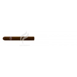 RAFAEL GONZALEZ-TRES PETIT LONSDALES-762