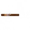 RAMON ALLONES-GLADIATOR - 2010 - ANDINO-392