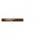 RAMON ALLONES-GRAN ROBUSTO - 2007 - BENELUX-1716