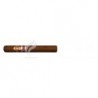 RAMON ALLONES-GRAN ROBUSTO - 2007 - BENELUX-1716