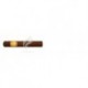 REY DEL MUNDO-CHOIX SUPREME-225