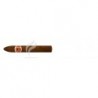 ROMEO Y JULIETA-BELICOSOS-228
