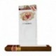 ROMEO Y JULIETA-CHURCHILLS-234