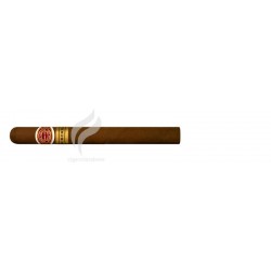 ROMEO Y JULIETA-CHURCHILLS-237