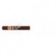 ROMEO Y JULIETA-ESCUDOS - 2007-897