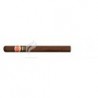 ROMEO Y JULIETA-EXHIBICION NO.2 - 2000-874