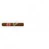 ROMEO Y JULIETA-EXHIBICION NO.4-241