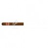 ROMEO Y JULIETA-MILLE FLEURS-244