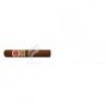 ROMEO Y JULIETA-SHORT CHURCHILLS JAR-1655