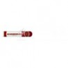 ROMEO Y JULIETA-SHORT CHURCHILLS-262