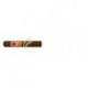 ROMEO Y JULIETA-SHORT CHURCHILLS-263