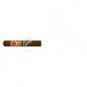 ROMEO Y JULIETA-SHORT CHURCHILLS-263