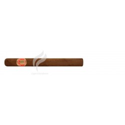 SAINT LUIS REY-CHURCHILLS-501