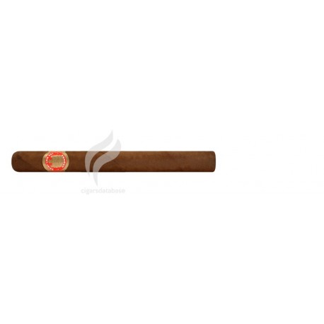 SAINT LUIS REY-CHURCHILLS-501