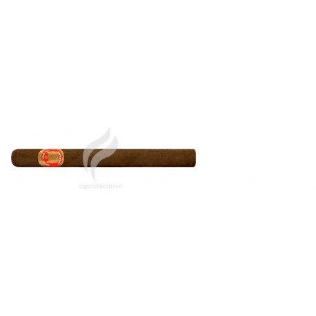 SAINT LUIS REY-LONSDALES-825