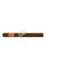 SAINT LUIS REY-LONSDALES-825
