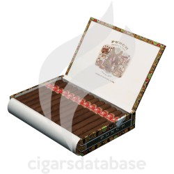 PUNCH-BLACK PRINCE-Box-719