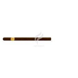 EL REY DEL MUNDO-ELEGANTES-Stick-775