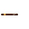EL REY DEL MUNDO-LONSDALES-Stick-780