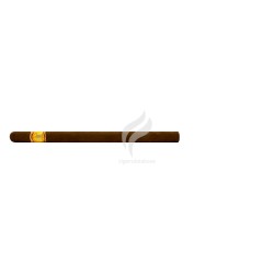 EL REY DEL MUNDO-PANETELAS LARGAS-Stick-783