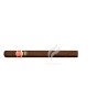 ROMEO y JULIETA-EXHIBICION NO.2 - 2000-Stick-874