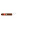 PARTAGAS-SERIE D NO.5 - 2008-Stick-899
