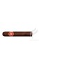 H.UPMANN-ROBUSTOS - 2007 (TRAVEL RETAIL)-Stick-971
