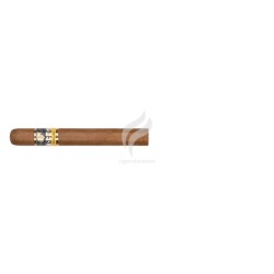 COHIBA-LINEA 1492 - SIGLO IV-Stick-43
